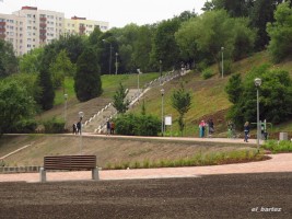 zdjęcie Staw Brodowski