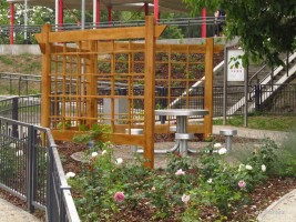 zdjęcie Staw Brodowski