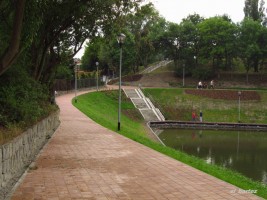 zdjęcie Staw Brodowski