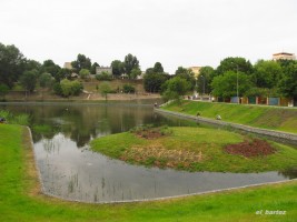 zdjęcie Staw Brodowski