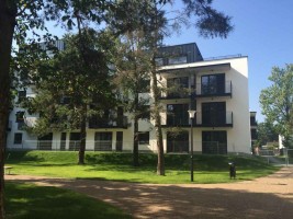 zdjęcie Projekt Park