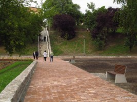 zdjęcie Staw Brodowski