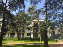 zdjęcie Projekt Park