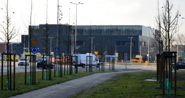 zdjęcie Galeria Mallwowa