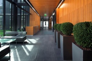 zdjęcie Cristal Park