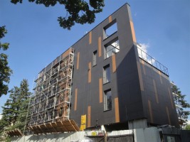 zdjęcie Białowieska 16