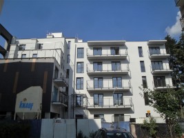 zdjęcie Białowieska 16