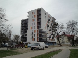zdjęcie Conrada 5