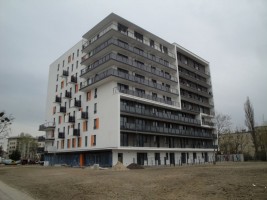 zdjęcie Conrada 5