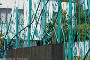 zdjęcie Ambasada Królestwa Niderlandów