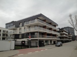 zdjęcie Madison Apartments