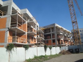 zdjęcie Chruściela 29