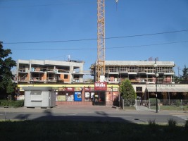 zdjęcie Chruściela 29