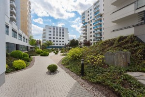 zdjęcie Sakura I i II