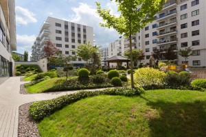 zdjęcie Sakura I i II