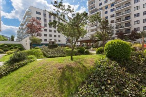 zdjęcie Sakura I i II