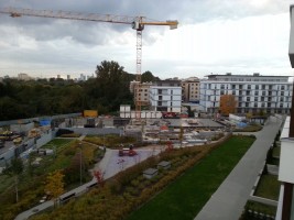 Bluszczańska II