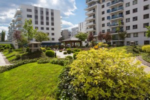 zdjęcie Sakura I i II