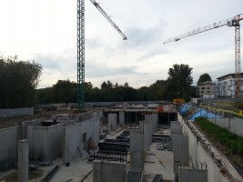 Bluszczańska II