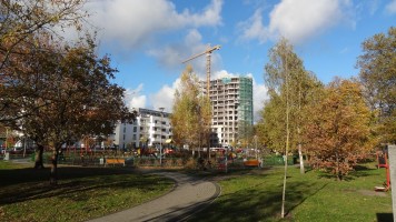 zdjęcie Platan Complex C