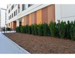 zdjęcie Orlińskiego 10