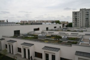 zdjęcie Centrum Alzheimera