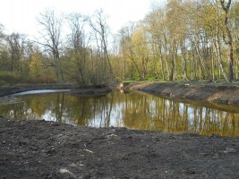 wizualizacje Syrenie Stawy