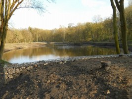 wizualizacje Ogród Botaniczny