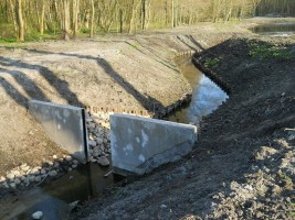 wizualizacje Ogród Botaniczny