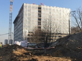 zdjęcie Piasta Park I