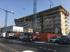 zdjęcie Lema 24