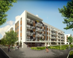 zdjęcie Young City 1