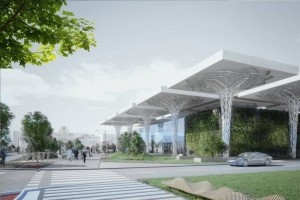 D+M Architects